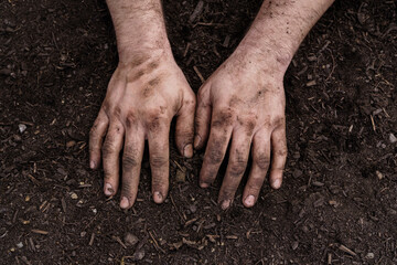 Mature man with hands in soil on agricultural land
