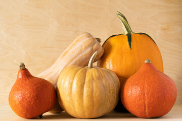 Five different pumpkins sitting in a row on yellow wooden background