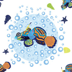 Mandarin fish seamless patterns. beautiful character among seashells, seaweed, starfish, sea animal wildlife character. Nature underwater, marine wild ocean zoo fish.