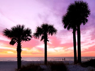 Fototapete Clearwater Strand, Florida Der Strand bei Sonnenuntergang mit silhouettierten Palmen und dramatischem Himmel.