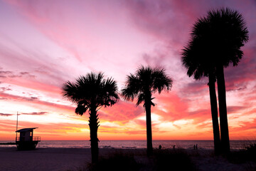 Het strand bij zonsondergang met gesilhouetteerde palmbomen en dramatische hemel.