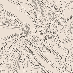 Topographic map with lines on a white background. Geographic map concept. Vector illustration