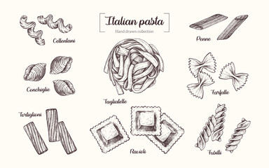 Types of Italian pasta. Vector hand drawn illustration in vintage engraved style. Isolated on white background. - obrazy, fototapety, plakaty