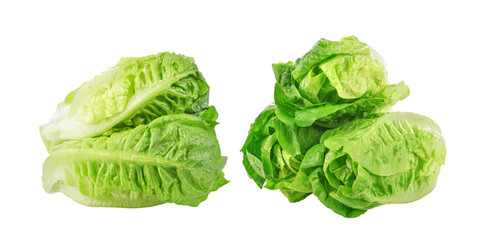Fresh green cos lettuce isolated on white background.