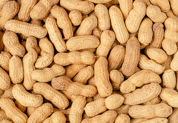 Dried peanut in shell background or texture. Top view