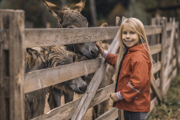 A blonde girl standing near the cattle-pen with donkyes and smiling