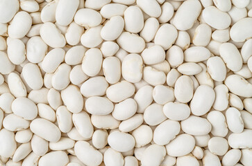 White haricot beans background. Legumes, top view