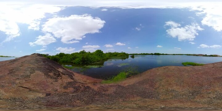 Swamp in middle of rainforest, water stagnation because outside the monsoon period, forest island. Sri Lanka sites of wetlands. Virtual Reality 360.