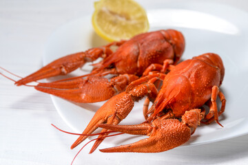 two large boiled crayfish with lemon on a white plate on a white background
