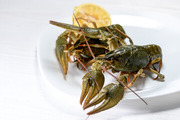 two large fresh crayfish in a white plate with lemon
