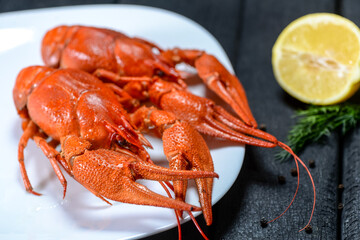 two large boiled crayfish on a white plate with on a black background with lemon
