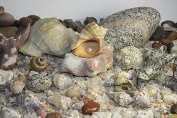 white pink pearls in a shell and stones of different breeds and shapes