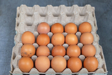 Farm Eggs Tray