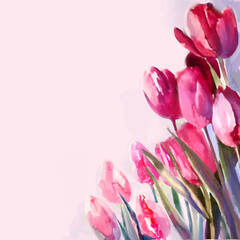 bouquet of tulips on a pink background