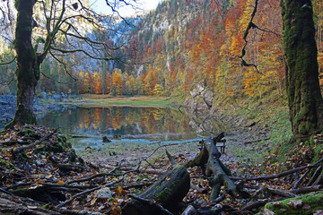 Herbst am Kammersee im Salzkammergut