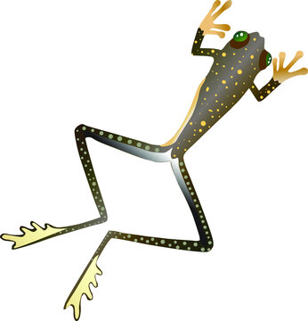spotted frog climbing white background clip art preview