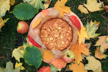 Top view on a delicious autumn pie with apples. A rustic homemade cake lies on a wooden plate on a bright green lawn among the fallen orange, yellow, red leaves.