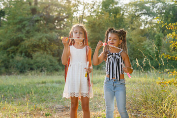 Two cute girls with pigtails are playing in the Park blowing up soap bubbles