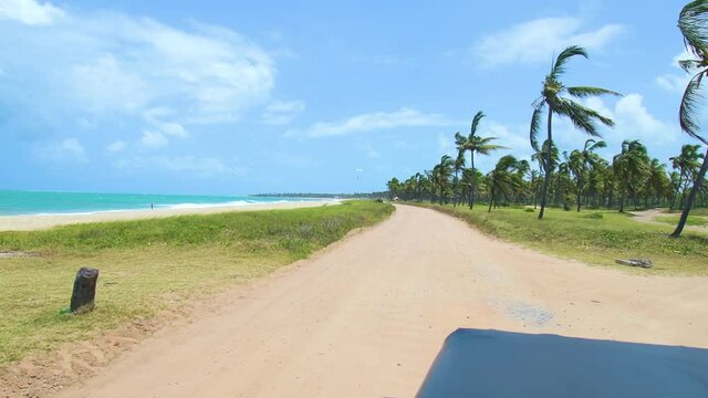 Buggy ride at Maracaipe beach, way to the Coconut Trees route. Tourist adventure of the brazilian northeast, Maracaipe beach at Ipojuca PE.