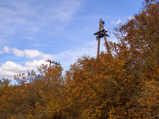 Obraz premium Autumn park on a sunny day. The foliage of the trees turned yellow, orange and brown. Power line among the trees. Good weather for a walk in nature.