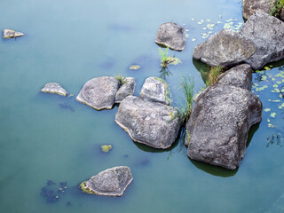 Top view of large stones in the river. Clean blue water is slightly turbid and has a milky hue. On the smooth whitish surface of the water there are few leaves of algae and duckweed.