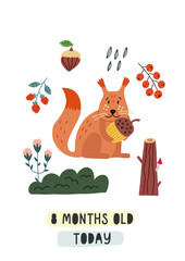 Baby milestone card eight months old today. Squirrel with acorn. Nursery Month card for lovely moments newborn. Baby Shower hand drawn doodle vector illustration design