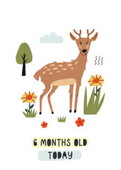 Baby milestone card six months old today. Deer in the woods. Nursery Month card for lovely moments newborn. Baby Shower hand drawn doodle vector illustration design