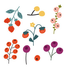Set forest wild berries strawberries, raspberries, cowberries elements in vector naive art illustration