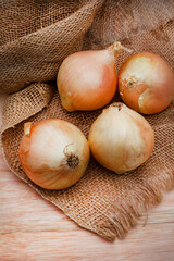 Brown onions on Burlap and farm style table