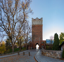 Fototapeta premium Opatowska Gate