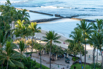 Aerial view of palm trees and swim area on Waikiki Beach, Honolulu, Oahu, Hawaii Islands, USA