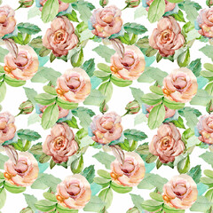 Watercolors.Displayed roses.Image on a white and colored background. Seamless pattern.