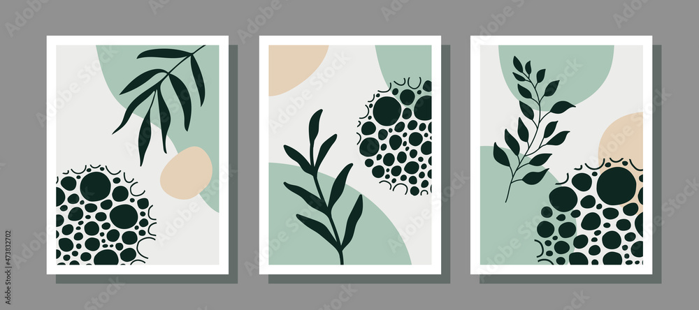 Poster modern abstract set aesthetic backgrounds with organic shapes and branch. wall decor in boho style. 