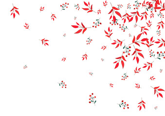 Red Herb Background White Vector. Leaf October Frame. Green Rowan. Burgundy Leaves Label. Paper Card.