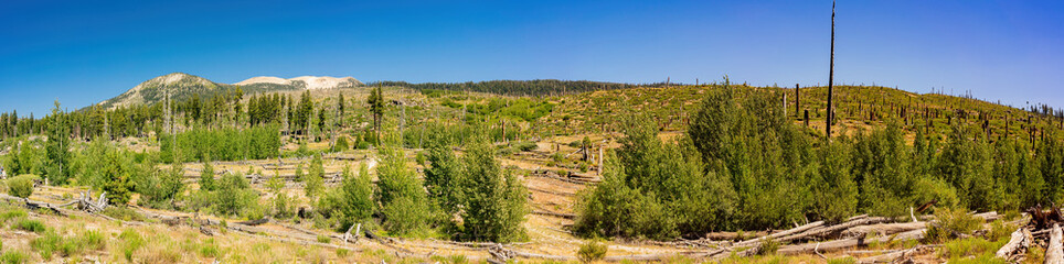 Beautiful landscape in Devils Postpile National Monument