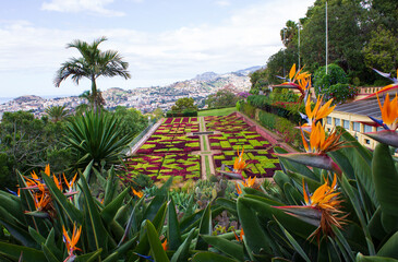 Madeira Botanic Garden