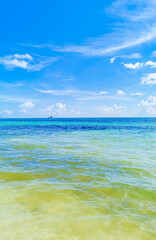 Fototapeta na wymiar Tropical mexican beach 88 Punta Esmeralda Playa del Carmen Mexico.