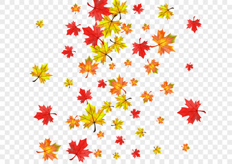 Golden Leaves Background Transparent Vector. Leaf November Design. Green Nature Foliage. Wallpaper Plant Template.
