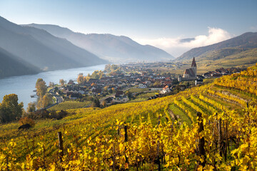 Beautiful autumn landscape with colorful grapevines, Weißenkirchen, Wachau, Austria - obrazy, fototapety, plakaty