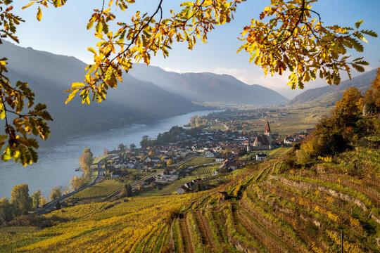 Beautiful autumn landscape with colorful grapevines, viewpoint over the beautiful village of Weißenkirchen, Wachau, Austria