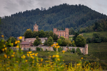 Fototapete bei efototapeten.de bestellen   