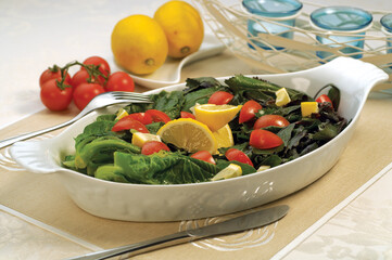fresh salad