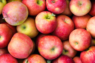 Fresh apples stacked together in a closeup view.  Some leaves and stalks remain on the fresh fruit