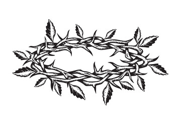 jesus crown of thorns with leaves image isolated on white background 