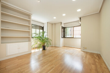 Empty living room with windows, plaster shelf and a plant on one side