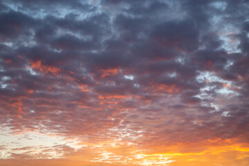 Naklejka na ściany i meble dramatic idyllic orange sky at dawn with dense, gray clouds