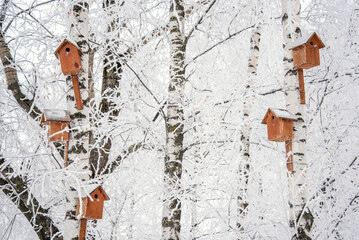 Birdhouses on a winter trees
