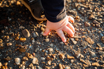a child's hand on the background of asphalt. Little children's fingers touch rocks on the ground.