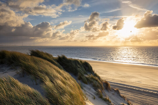 view on North sea beach from dune at sunset
