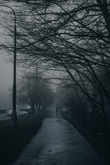 Dark street in mist, foggy day, mysterious atmosphere